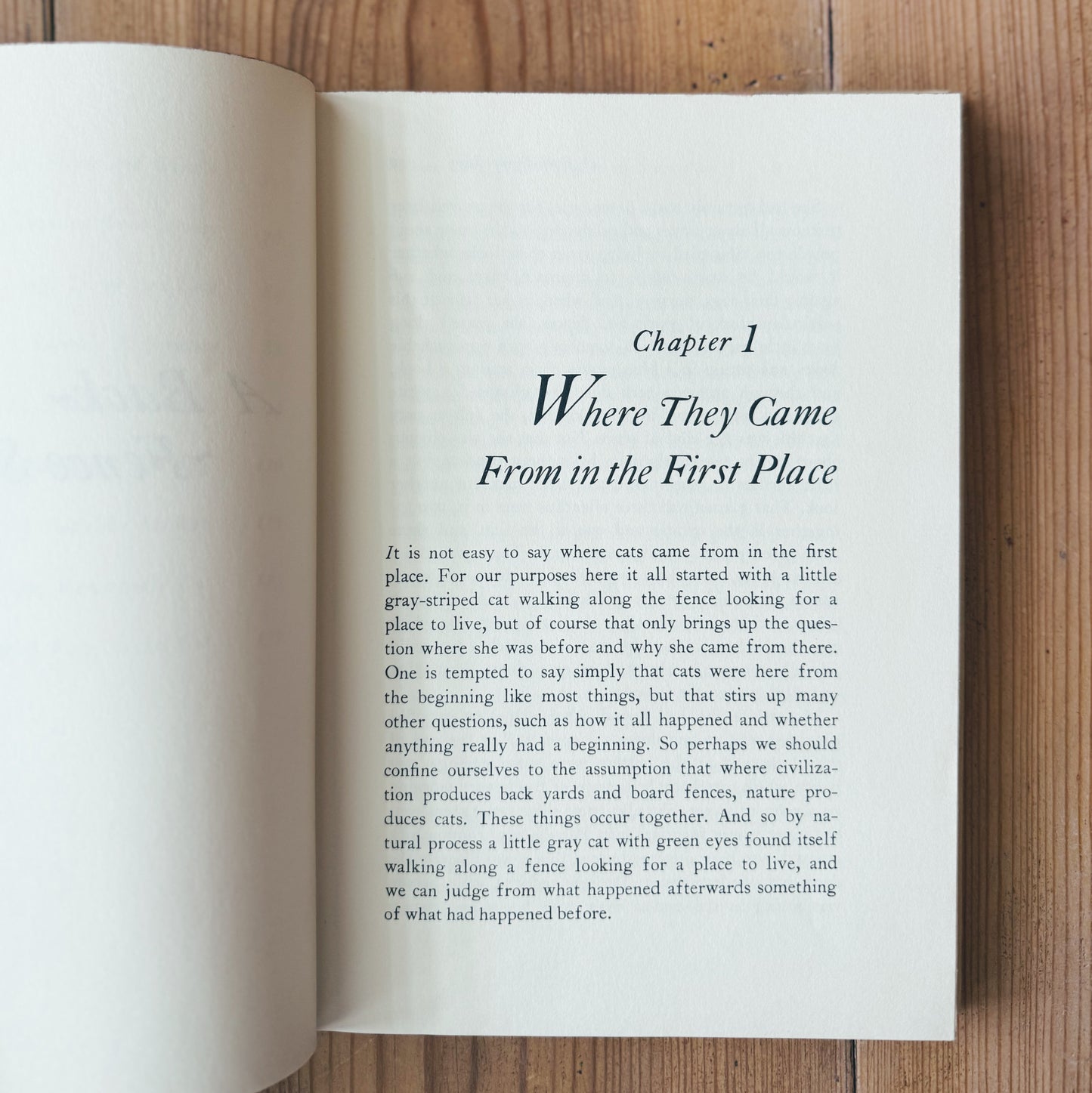 A Back-Fence Story, hardback