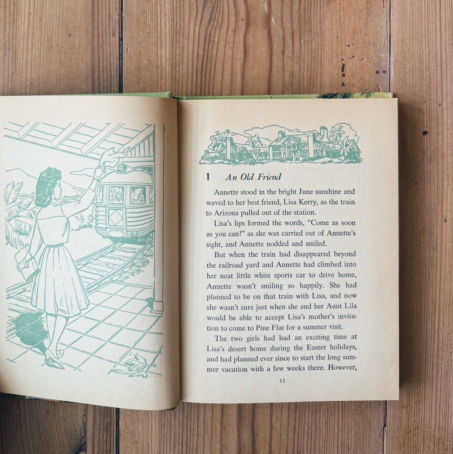 Annette and the Mystery at Moonstone Bay, hardback
