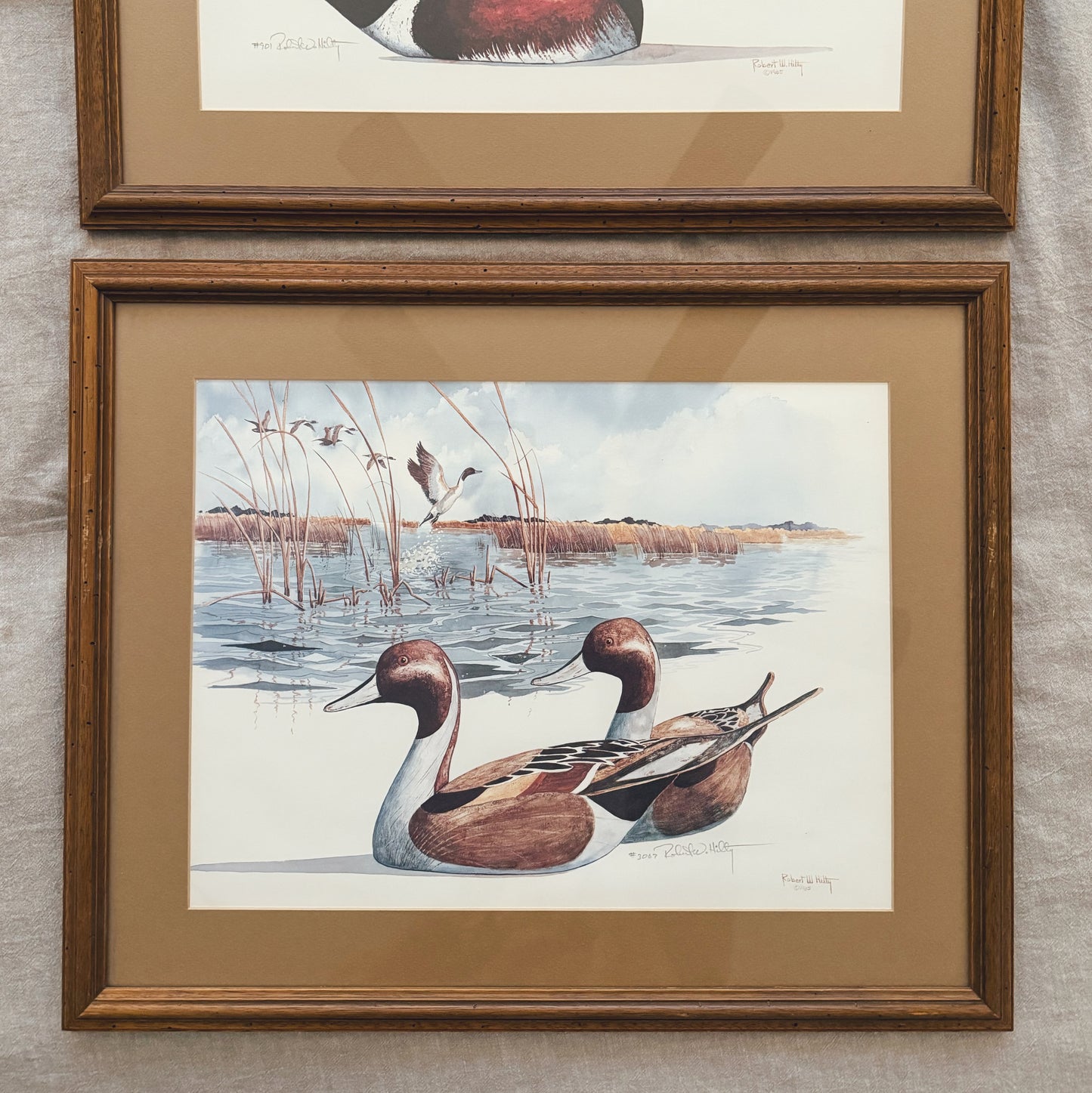 Two Gorgeous Mallard Duck Watercolors and Ink, Local Purchase Only