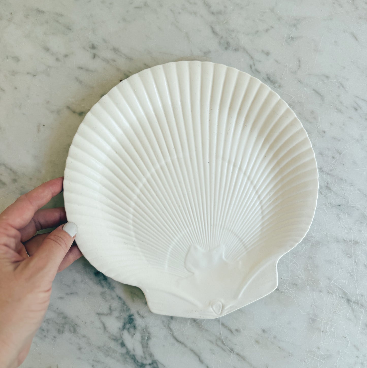 Wedgwood Shell Plate
