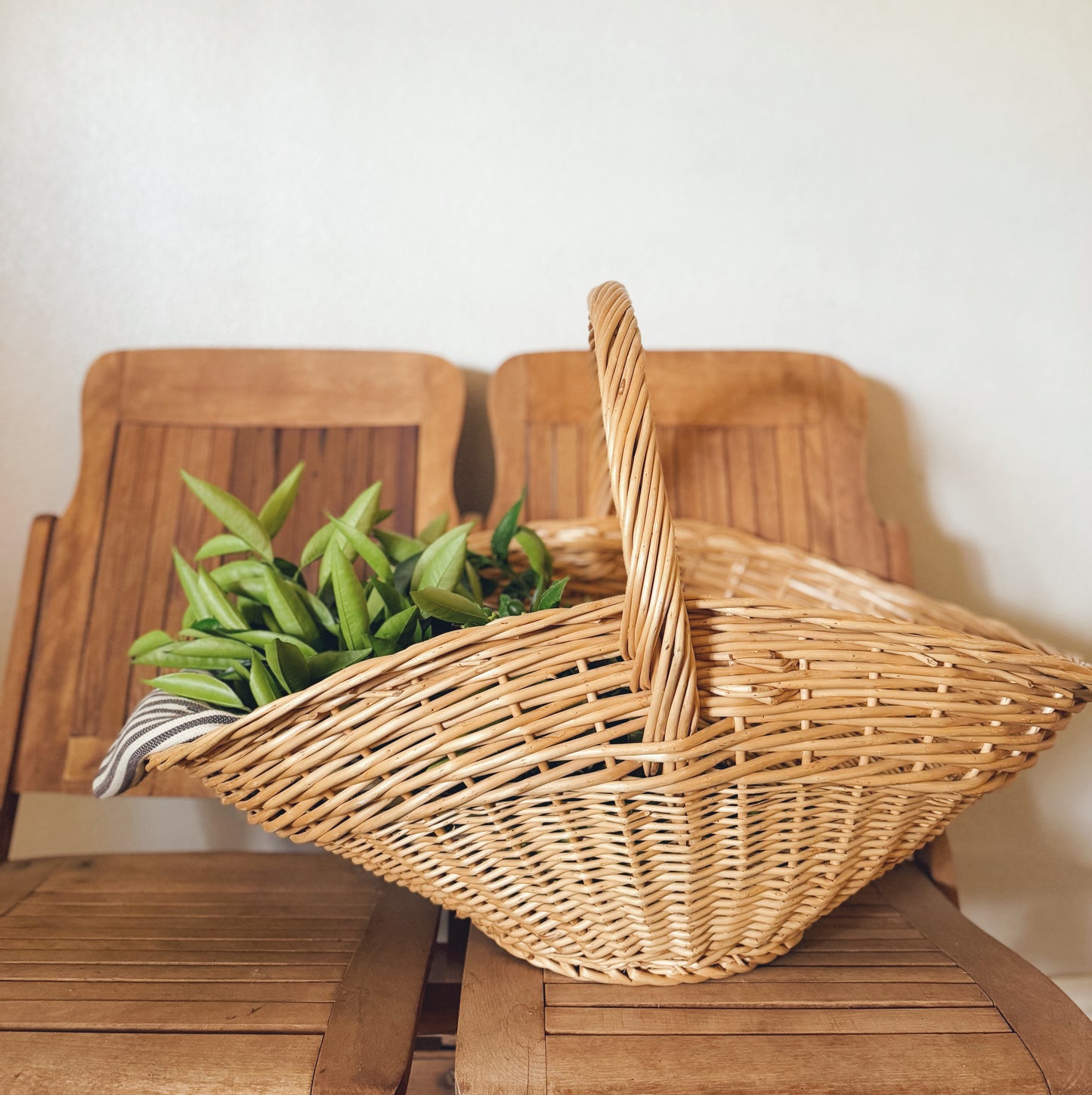 Large Gathering Basket (local purchase only)