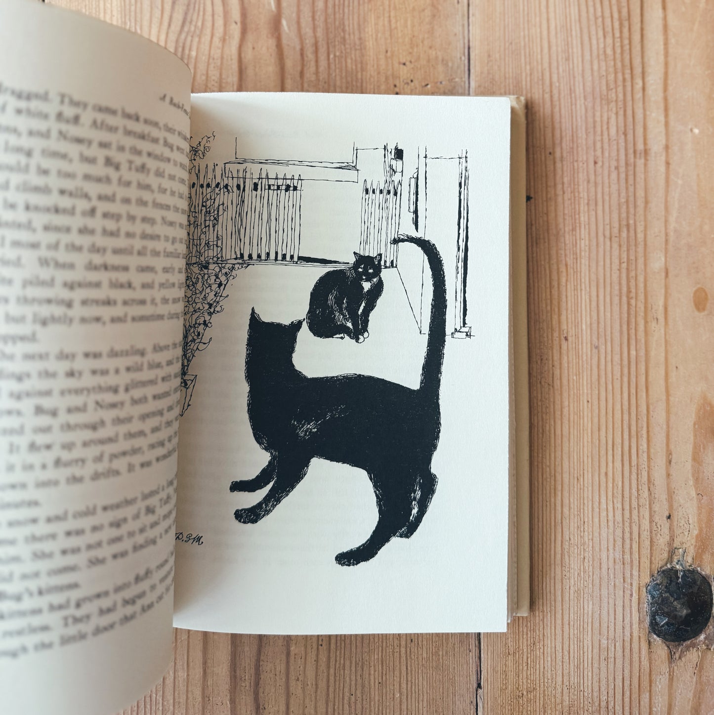 A Back-Fence Story, hardback