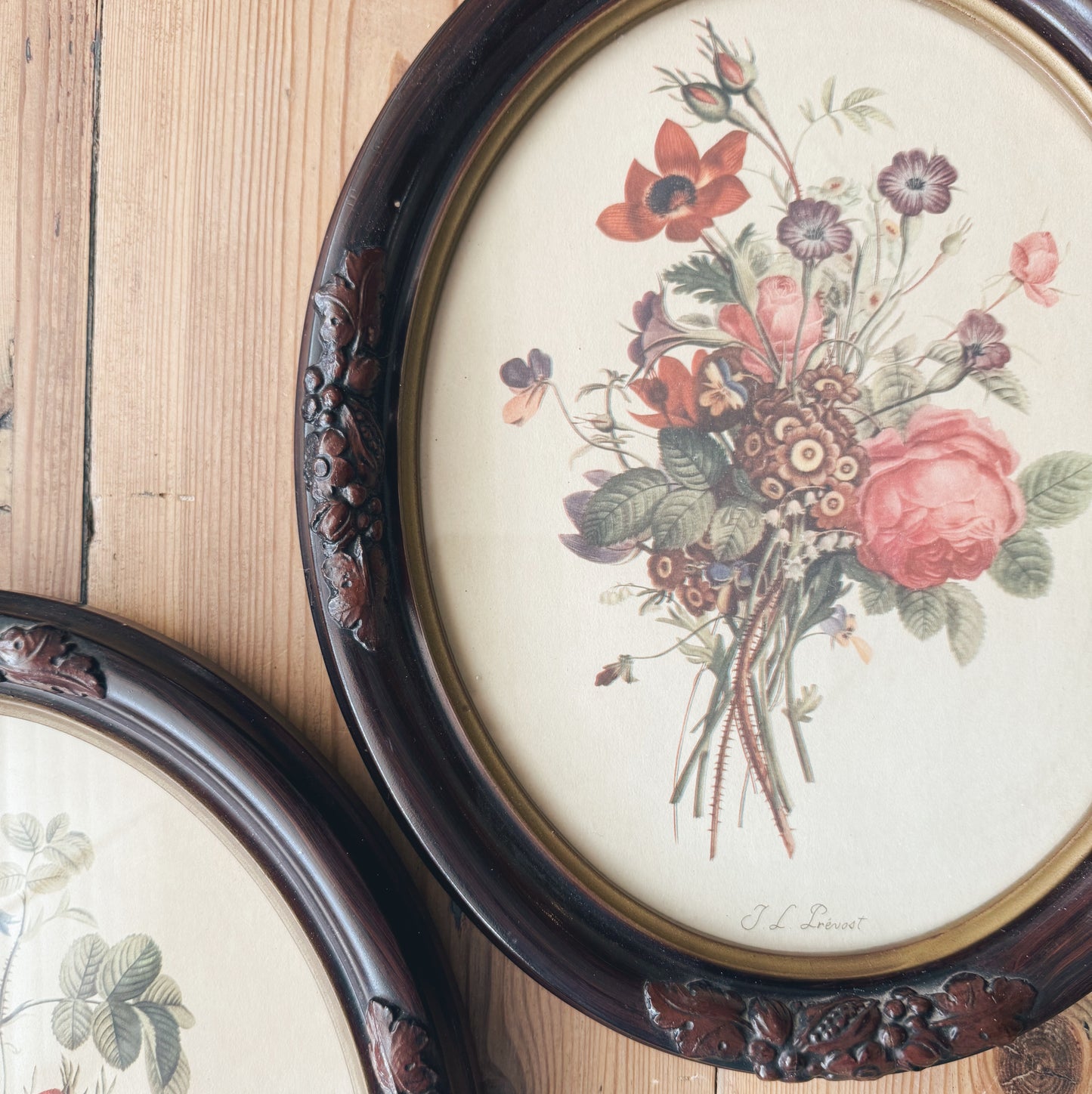 Pair of Oval Antique Botanical Floral Prints