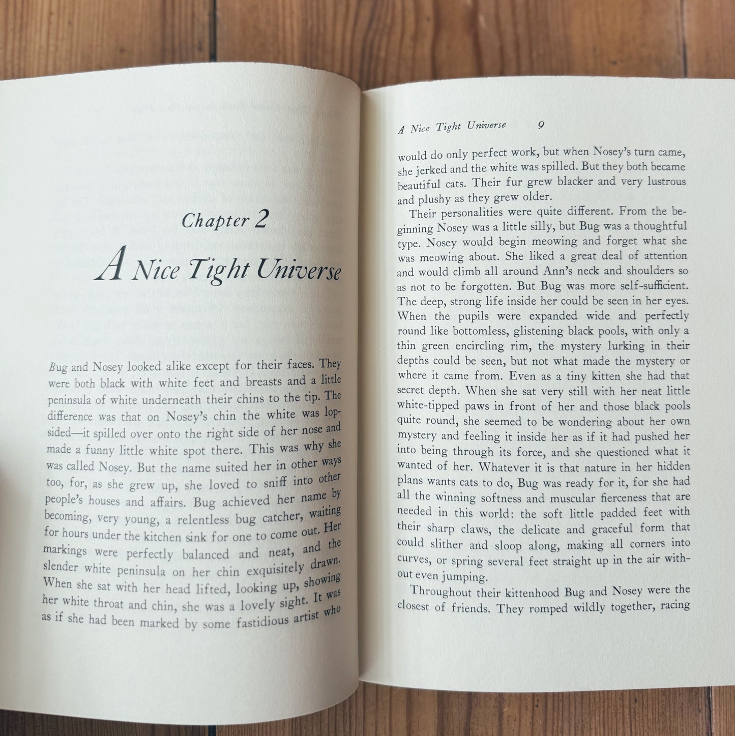A Back-Fence Story, hardback