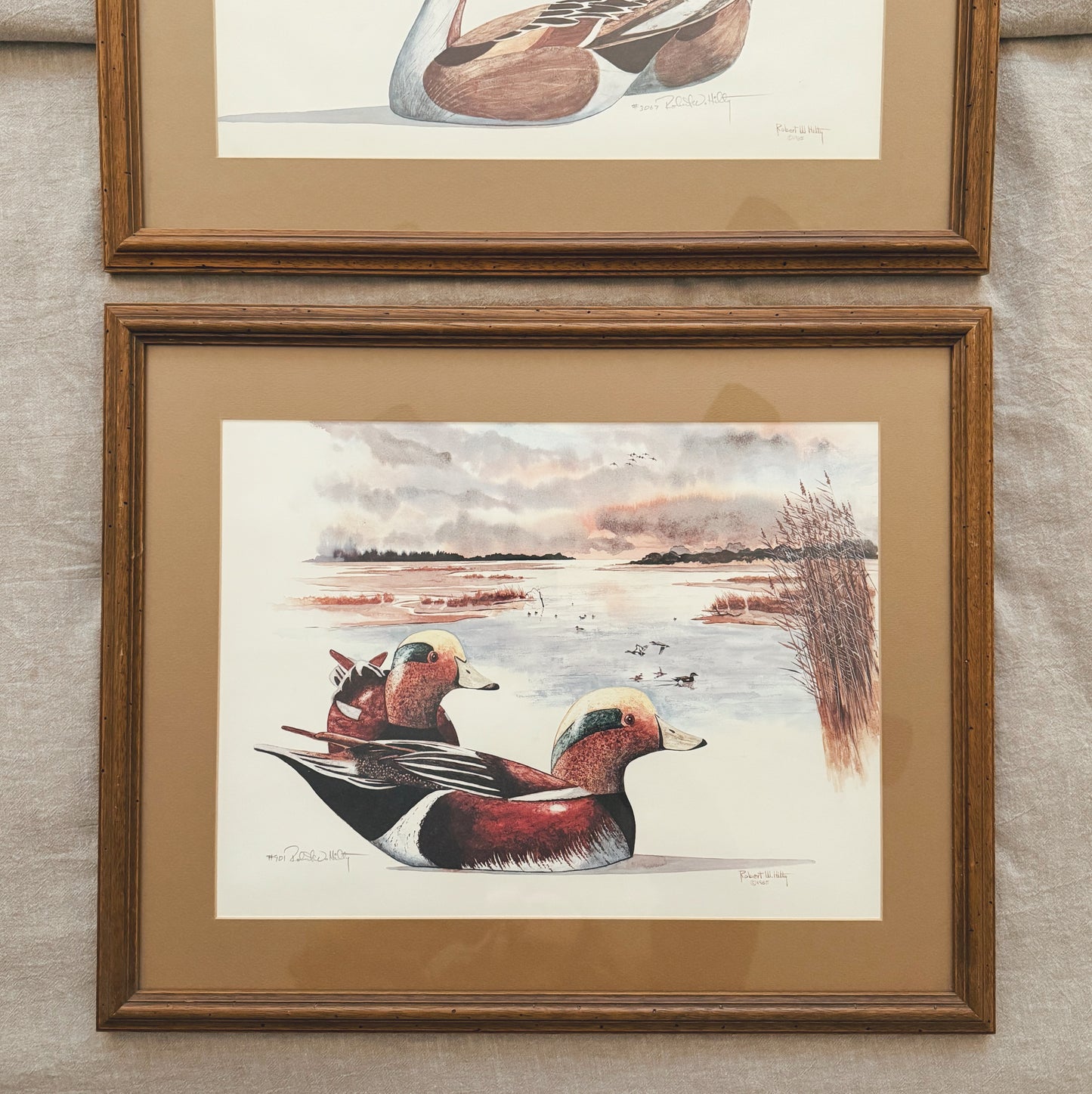 Two Gorgeous Mallard Duck Watercolors and Ink, Local Purchase Only