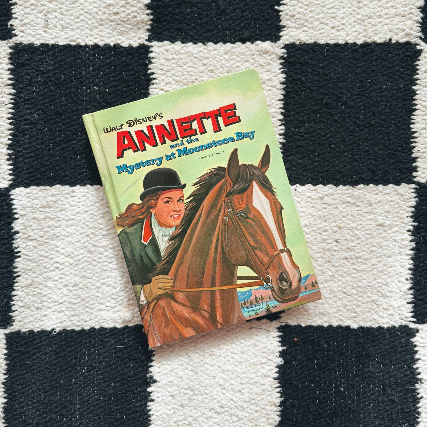 Annette and the Mystery at Moonstone Bay, hardback
