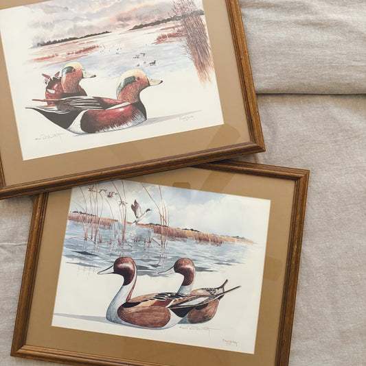 Two Gorgeous Mallard Duck Watercolors and Ink, Local Purchase Only