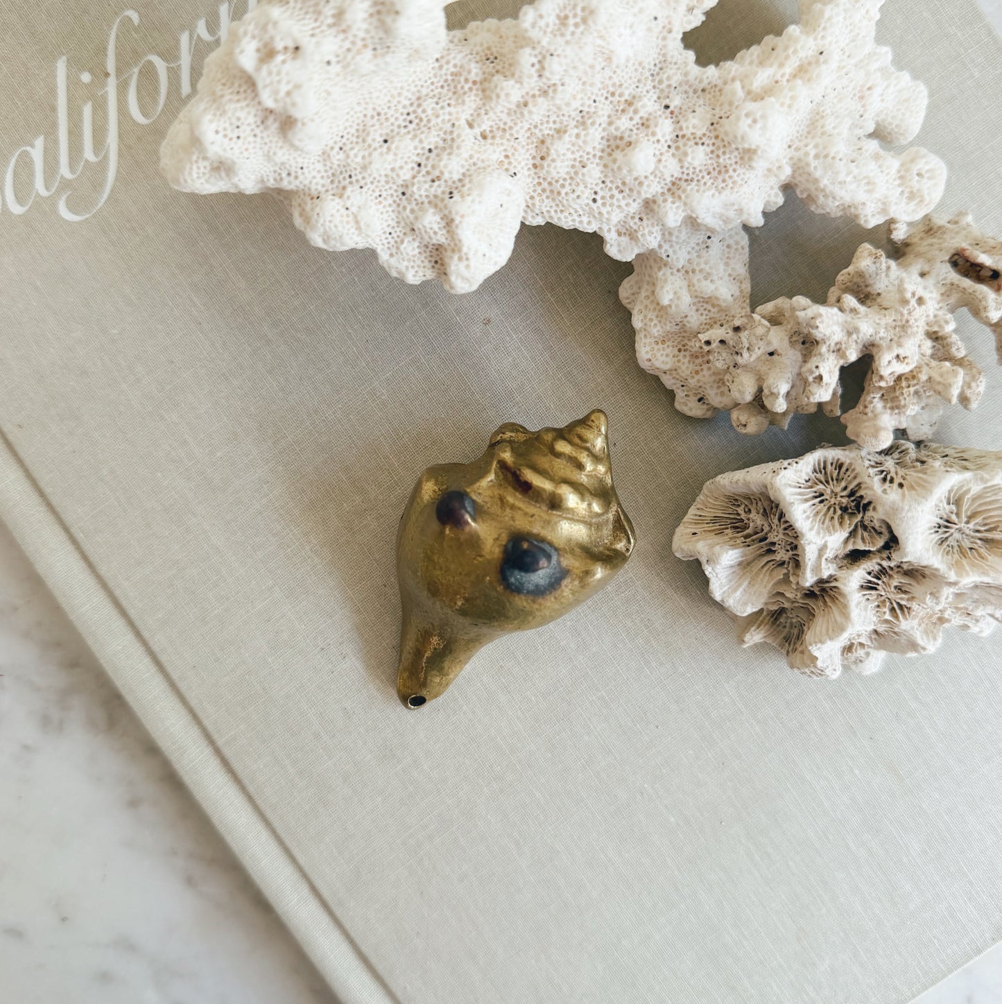 Small Brass Concha Shell