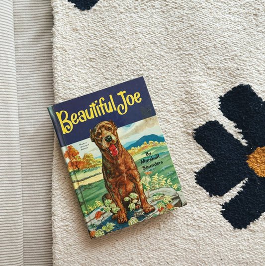 Beautiful Joe, hardback