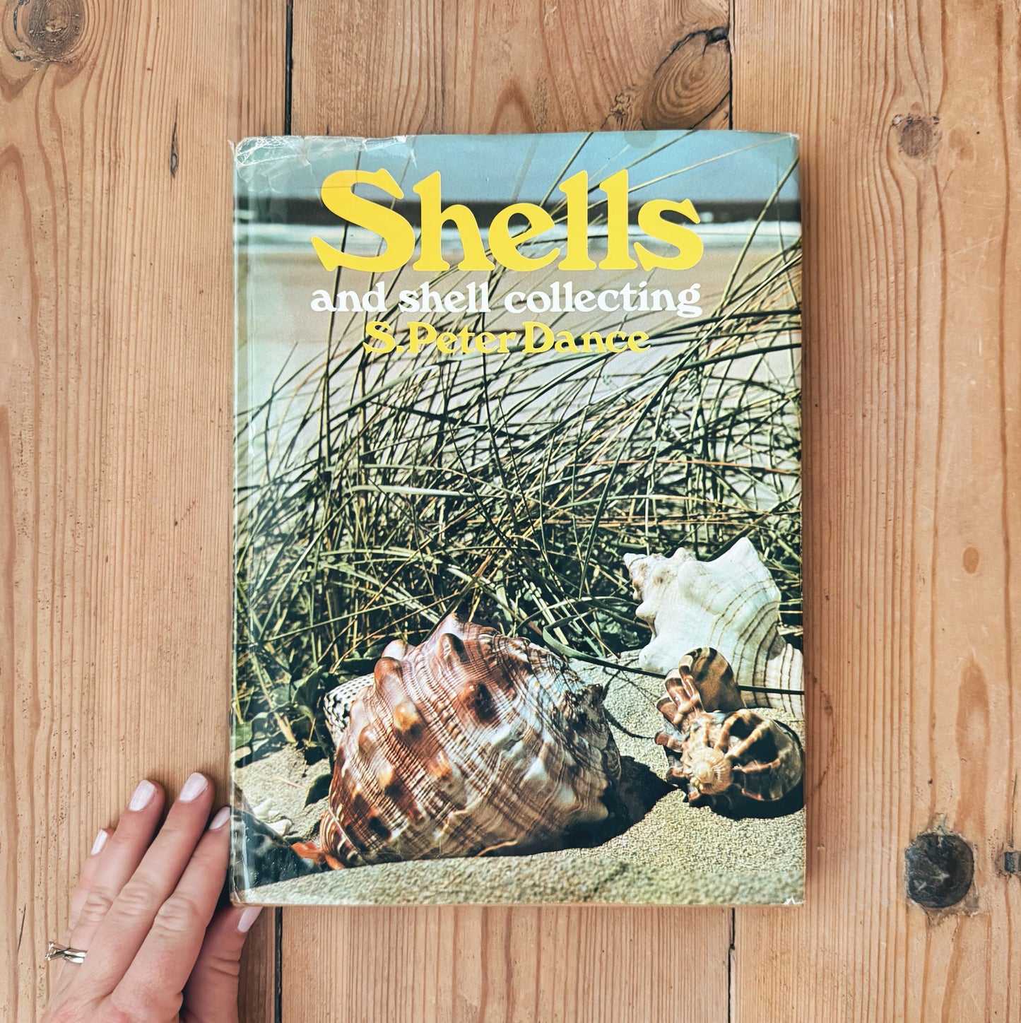 Shells and Shell Collecting