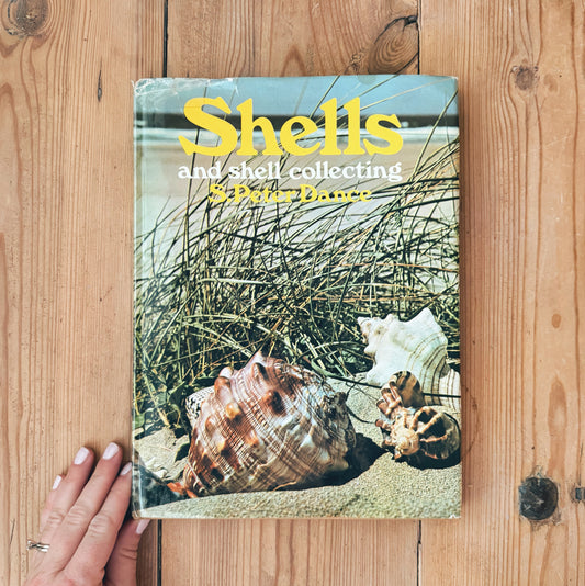 Shells and Shell Collecting