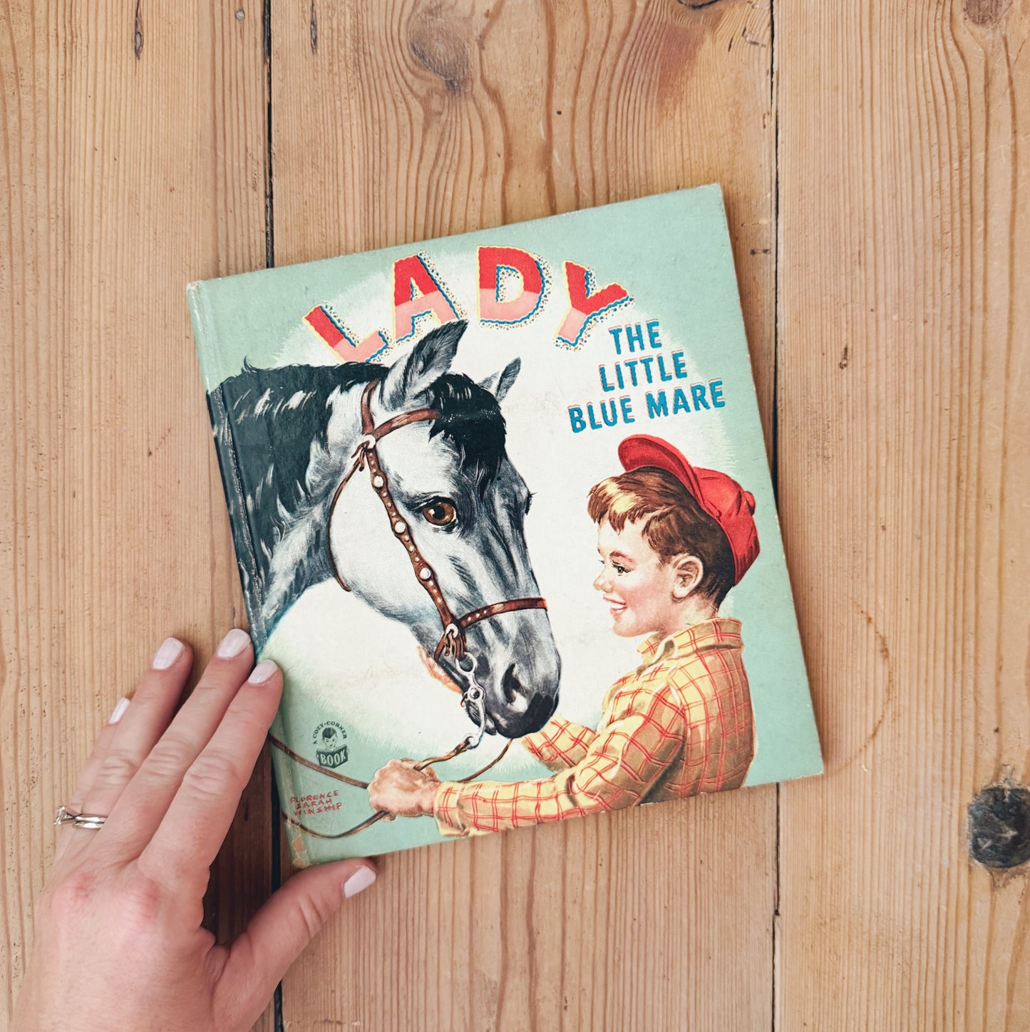 Lady the Little Blue Mare