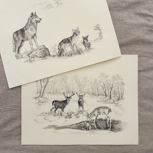 Pair of Pencil Drawing Prints, Local Purchase Only