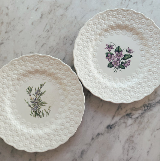 Pair of Vintage Spode Plates