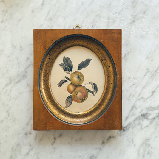 Antique Framed Fruit