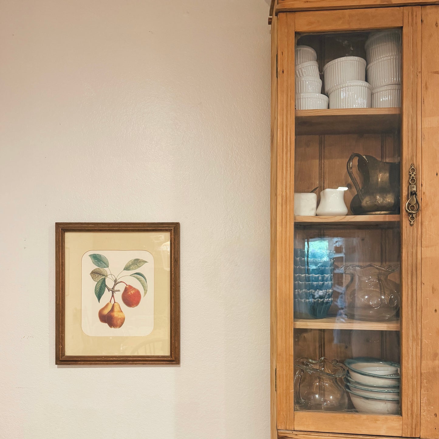 Framed Vintage Botanical Fruit Print (15.5” x 13.5”)