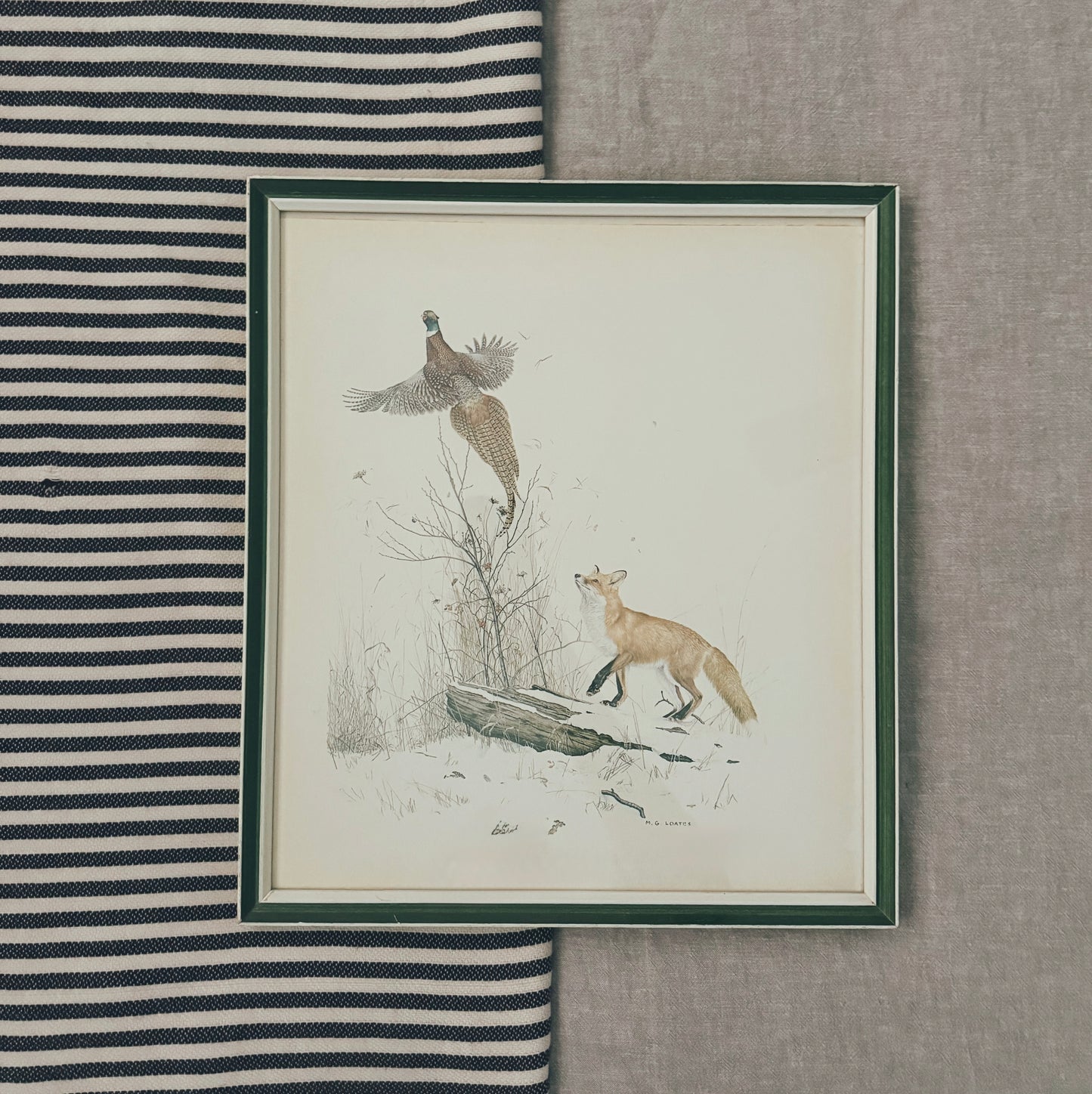 Martin Lottes Fox and Pheasant