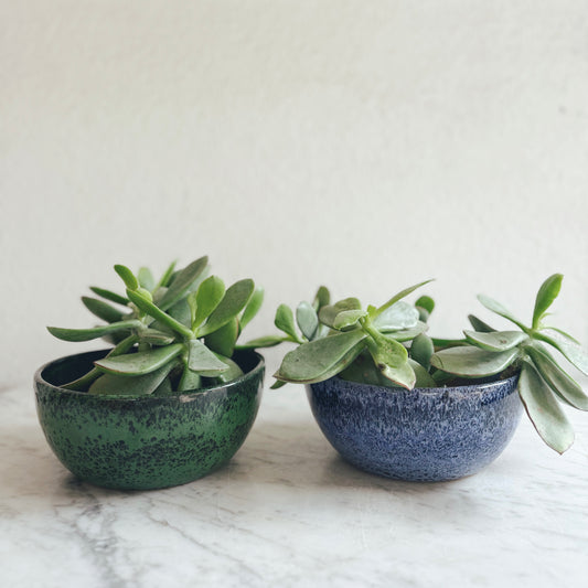 Pair of Pottery Planter Pots