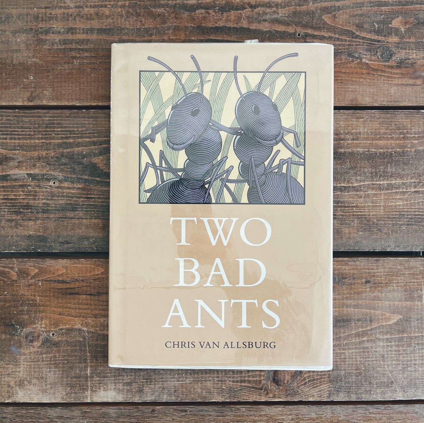 Two Bad Ants, hardcover