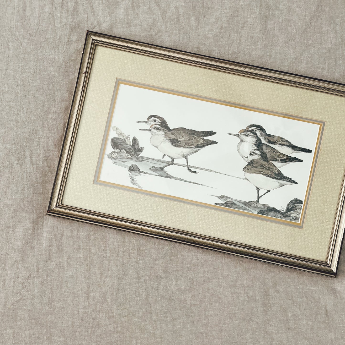 Watercolor and Ink Sandpiper Art, Local Purchase Only