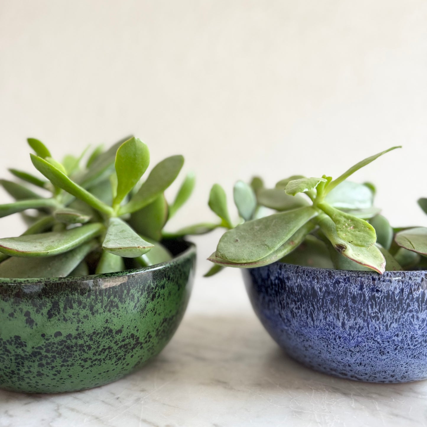 Pair of Pottery Planter Pots