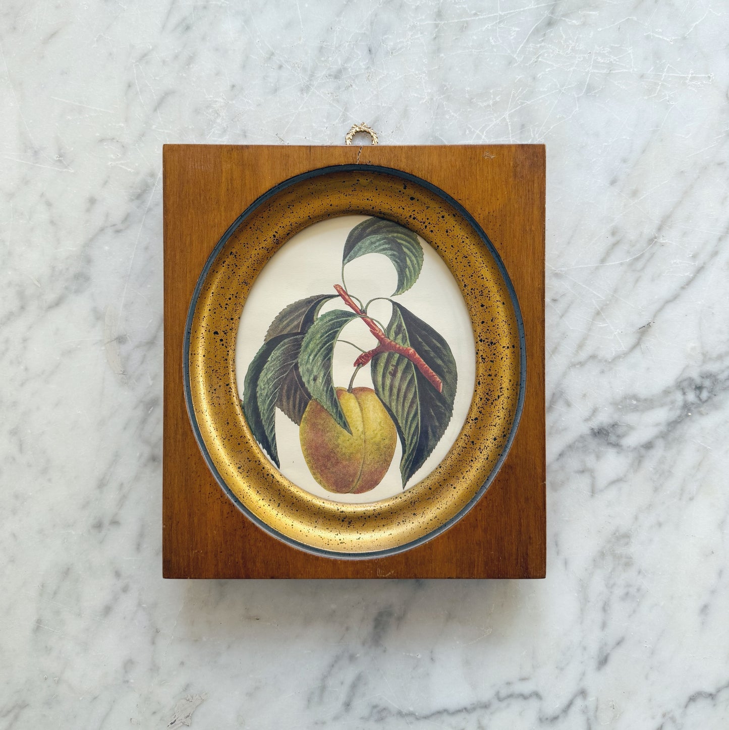Antique Framed Fruit