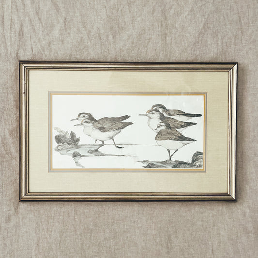 Watercolor and Ink Sandpiper Art, Local Purchase Only