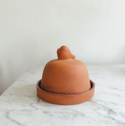 Terra Cotta Garlic Keeper