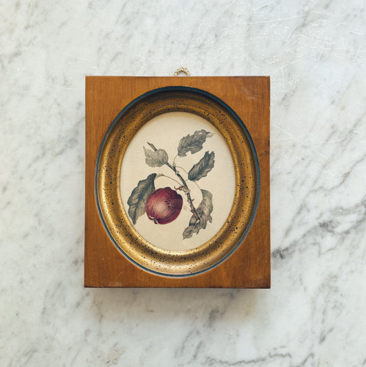 Antique Framed Fruit