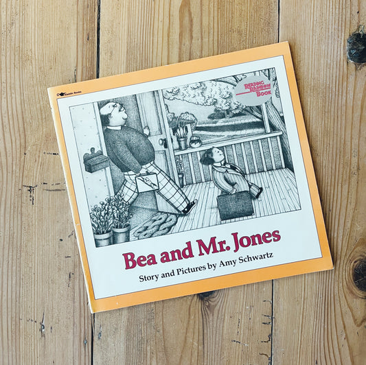 Bea and Mr. Jones, paperback