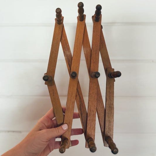 Vintage Accordion Peg Rack