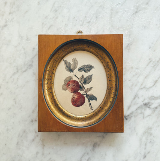 Antique Framed Fruit